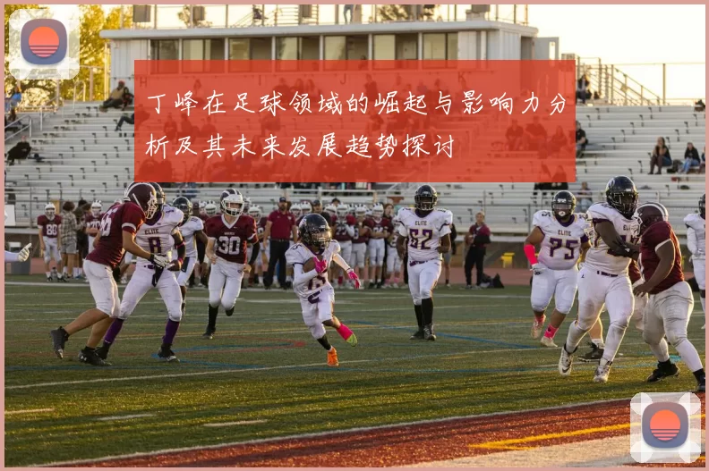 丁峰在足球领域的崛起与影响力分析及其未来发展趋势探讨
