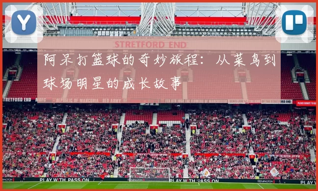 阿呆打篮球的奇妙旅程：从菜鸟到球场明星的成长故事