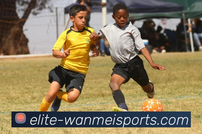 完美体育平台生态图